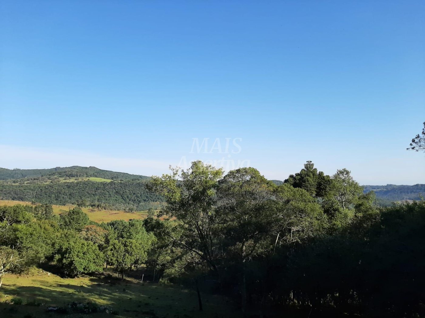 Área de 10 hectares para venda em São Francisco de Paula 