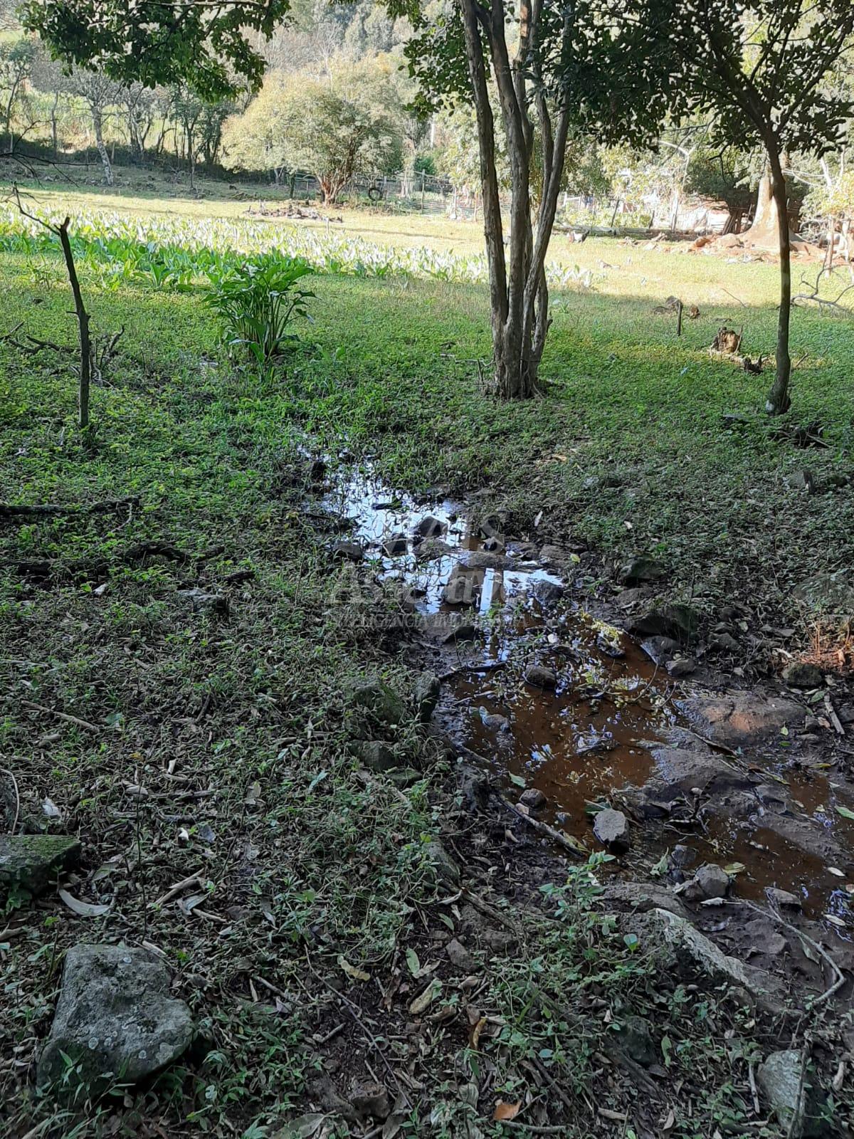 Área de 10 hectares para venda em São Francisco de Paula 