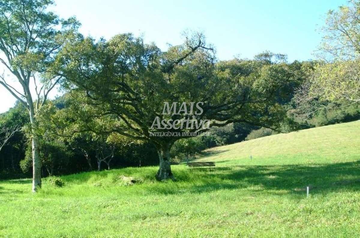 Terreno para Venda em Novo Hamburgo / RS no bairro Lomba Grande