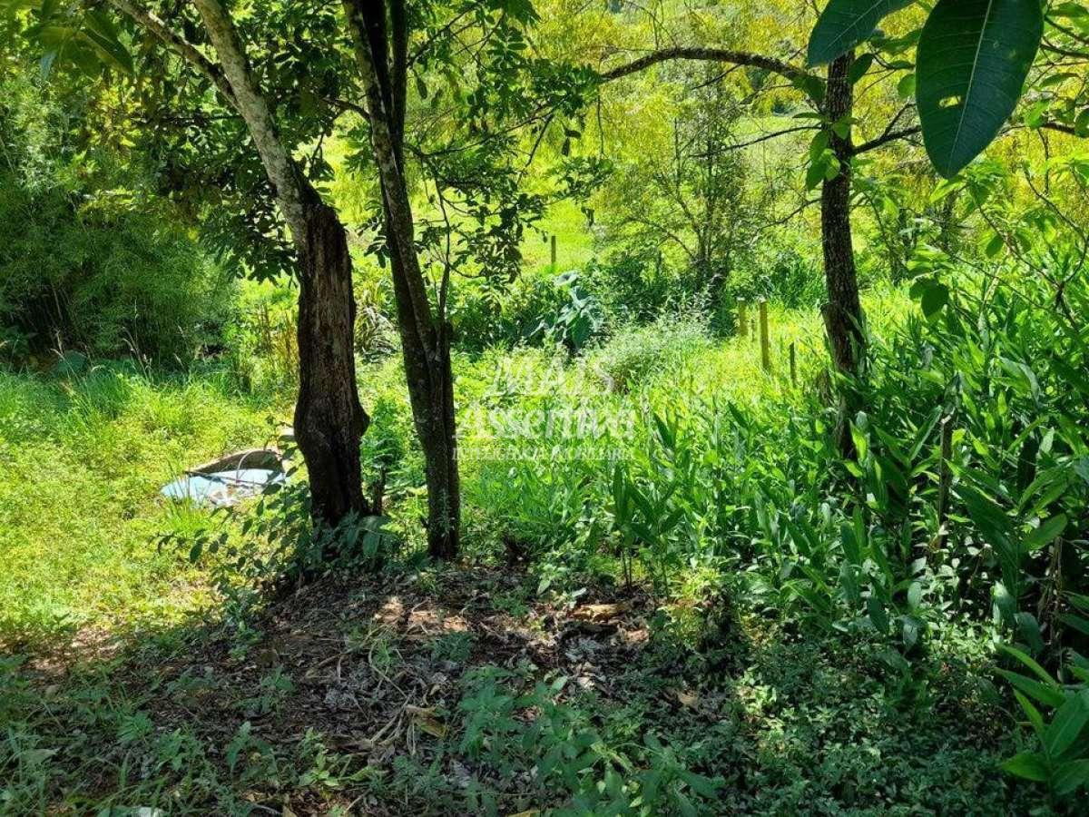 Terreno para Venda em Rolante / RS
