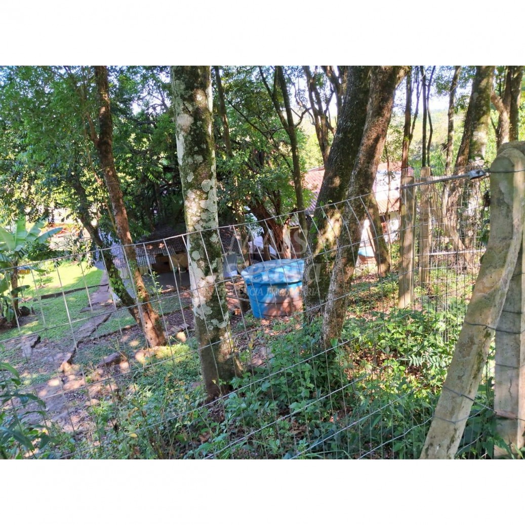 Sítio, 3 quartos, 1520 m² - Foto 12
