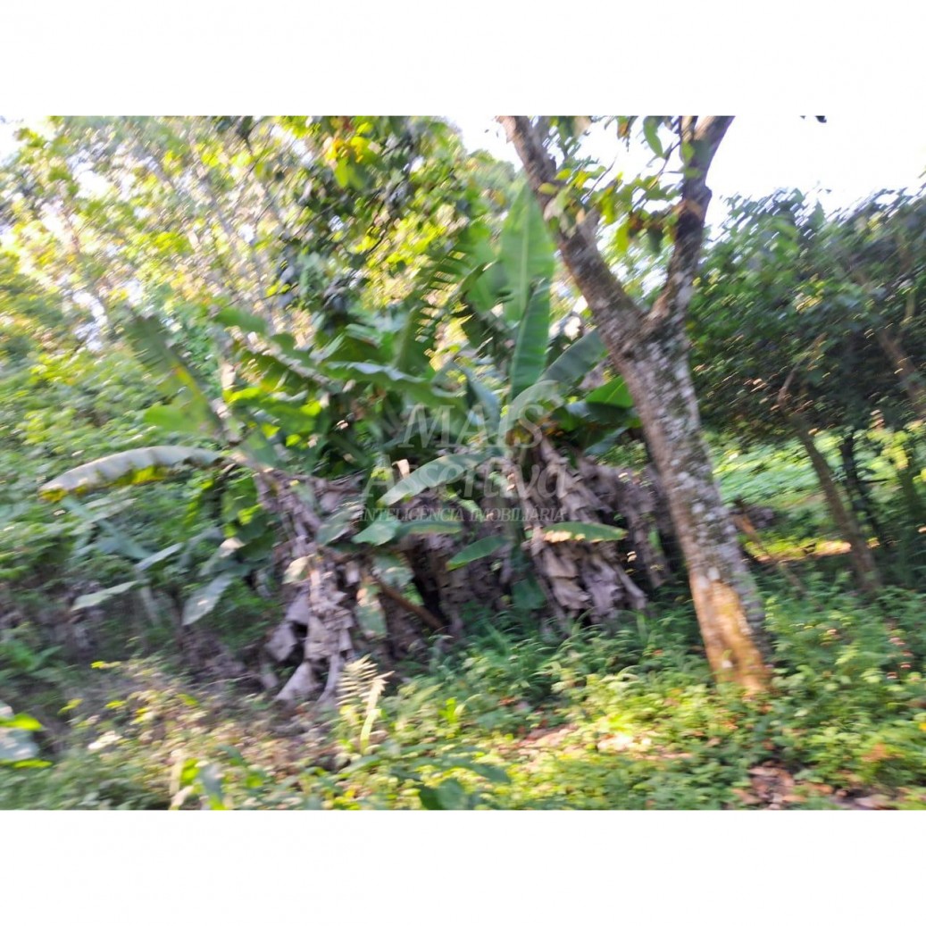 VENDE 