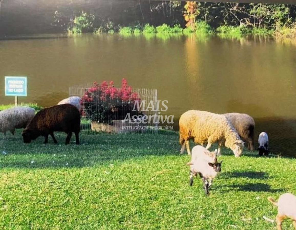 Terreno para Venda em Novo Hamburgo / RS no bairro Lomba Grande
