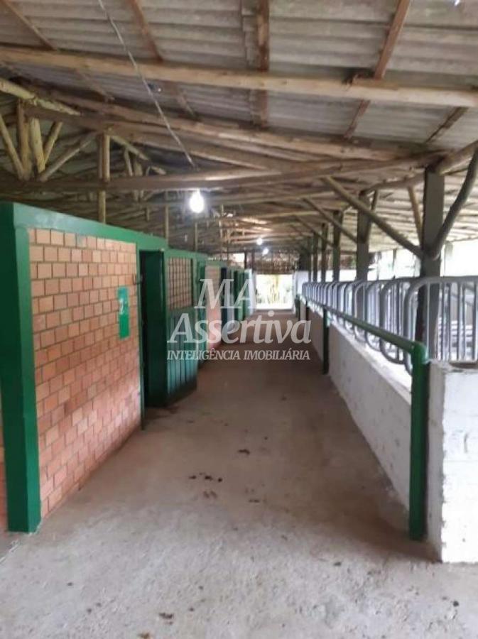 Terreno para Venda em Novo Hamburgo / RS no bairro Lomba Grande