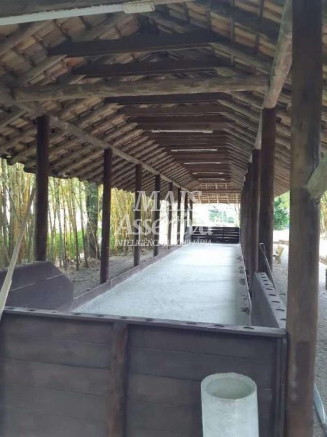 Terreno para Venda em Novo Hamburgo / RS no bairro Lomba Grande