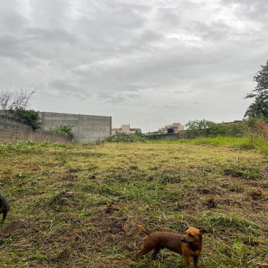 Terreno para venda na Scharlau, São Leopoldo - 310,00m² 