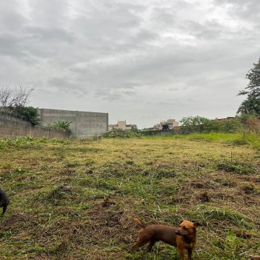 Terreno para venda na Scharlau, São Leopoldo - 310,00m²