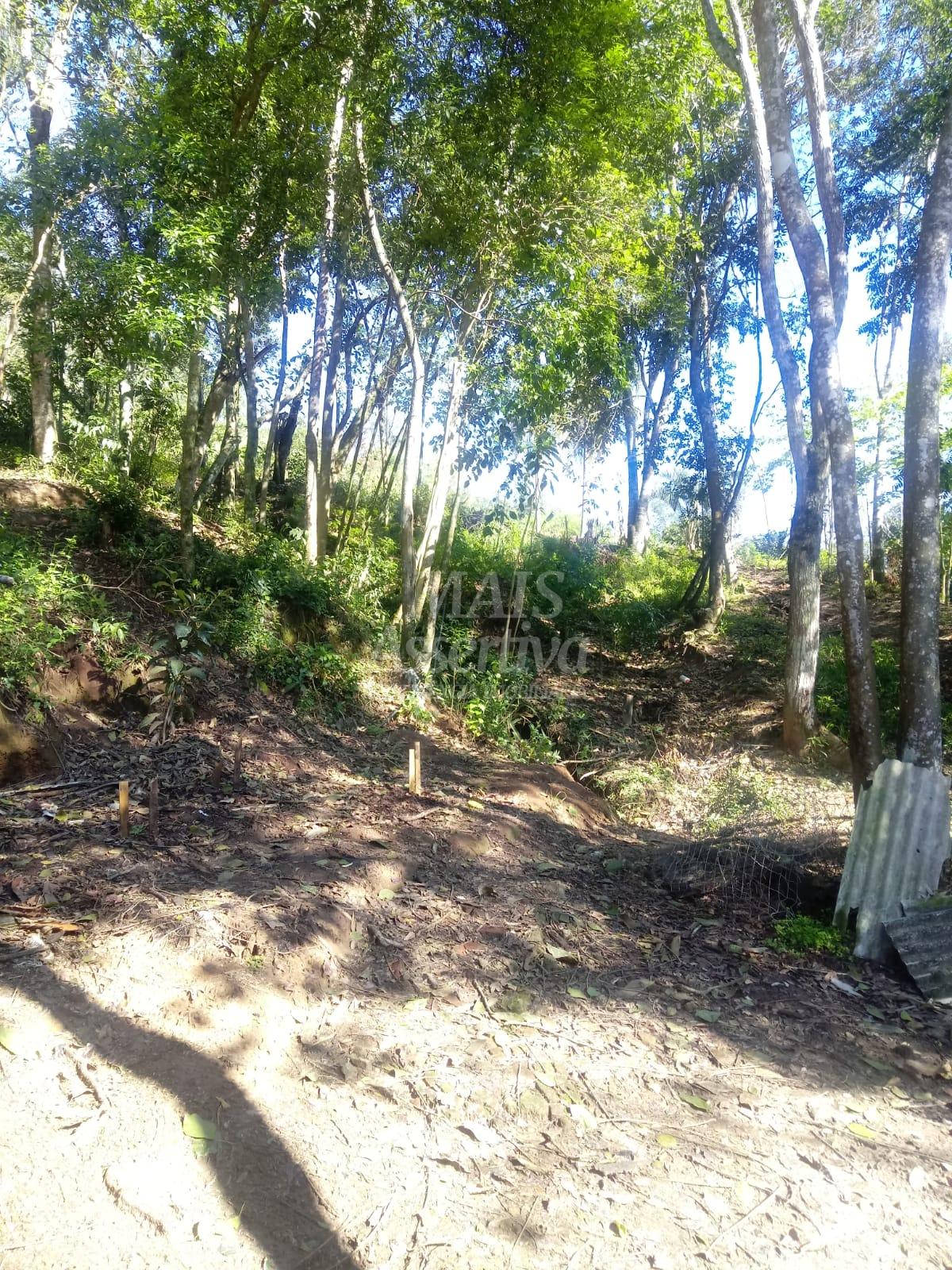 Sítio para venda em Nova Hartz Bairro Progresso