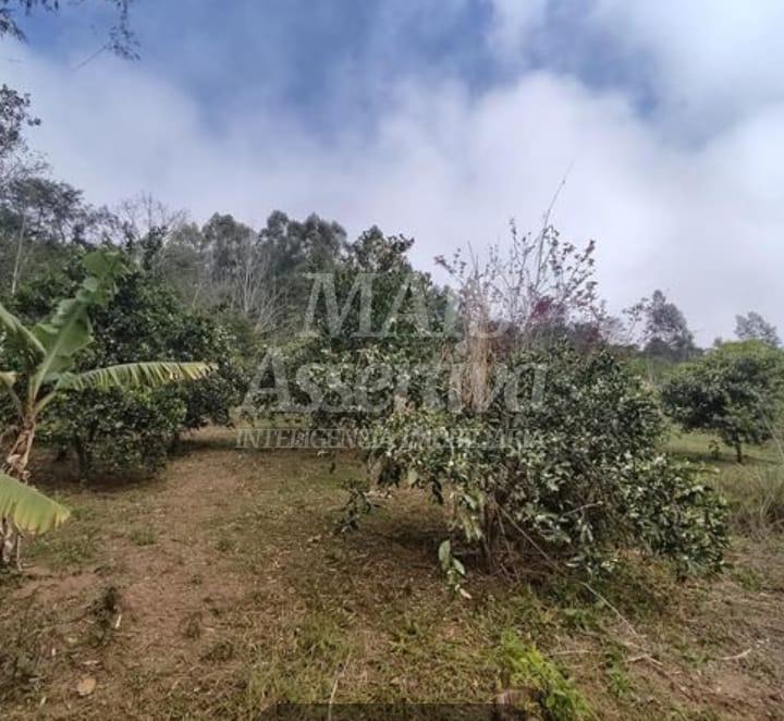 Sítio para venda em Nova Hartz Bairro Progresso