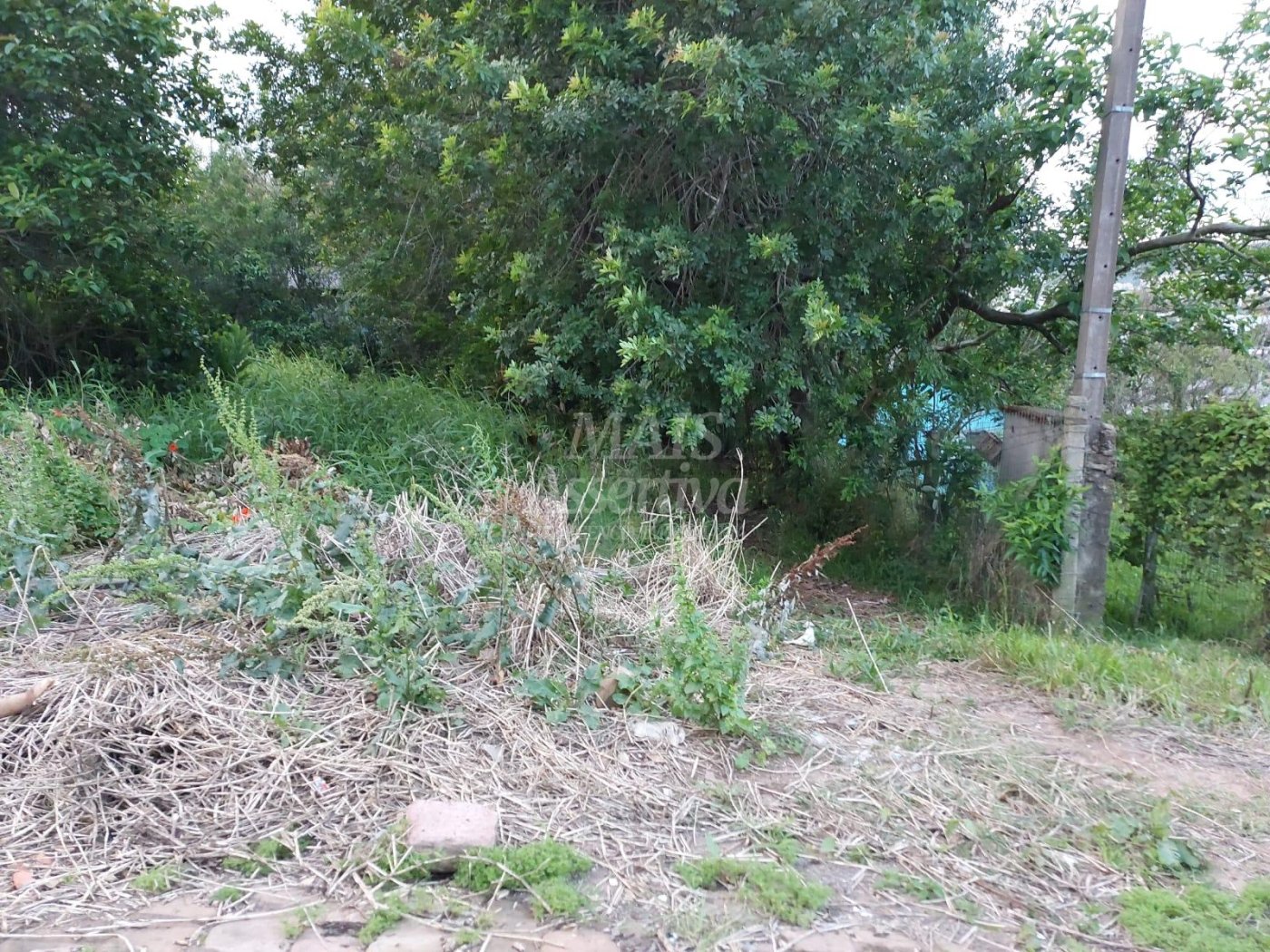 Excelente Terreno à Venda em Santa Cruz do Sul Bairro Senai 