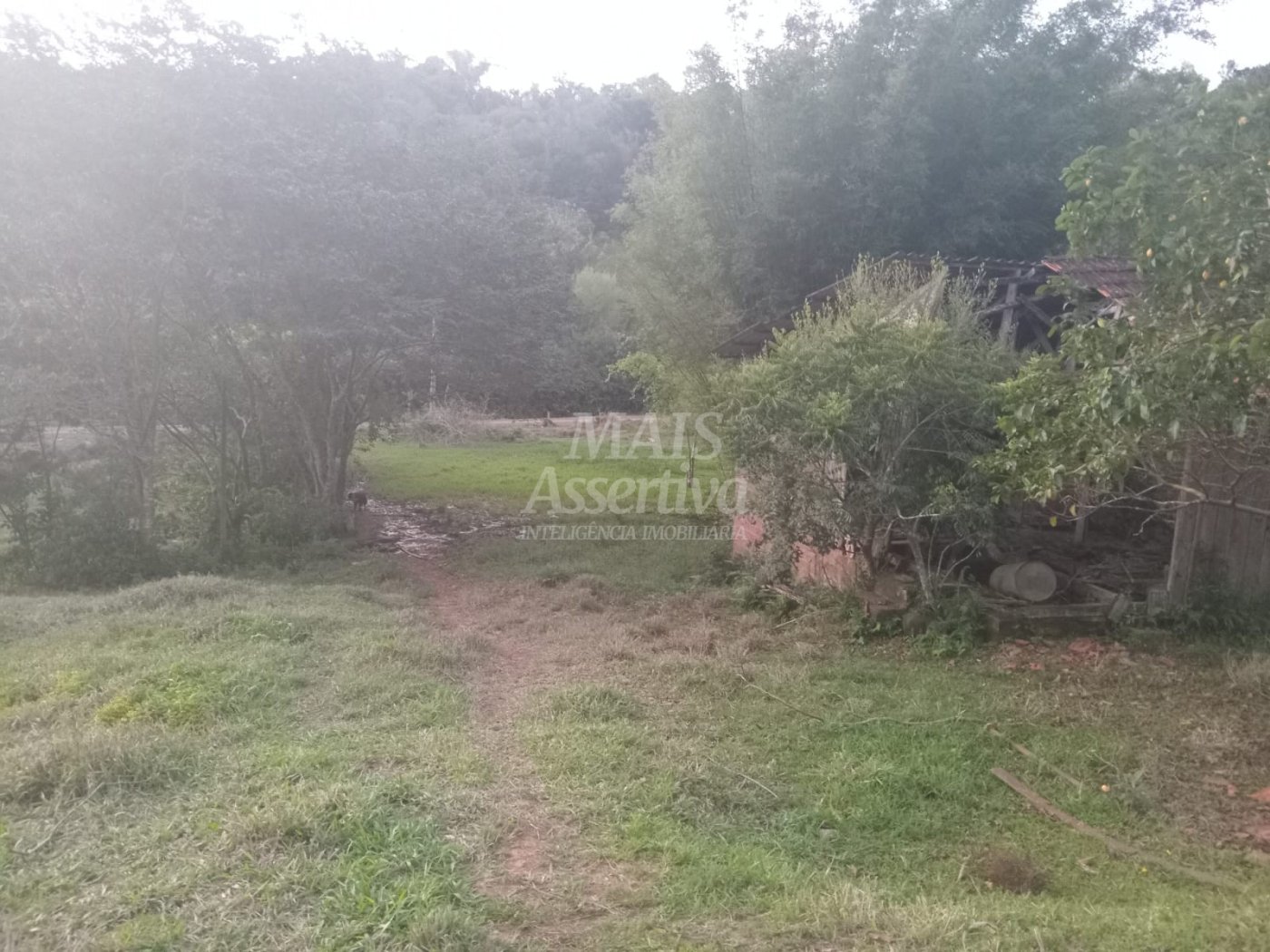 Excelente Chácara para Venda em Taquara Bairro Pega Fogo