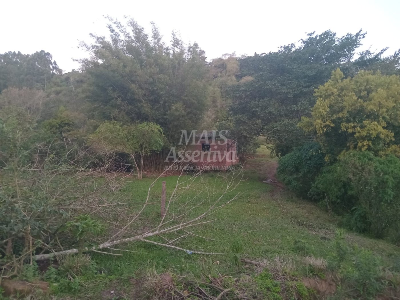 Excelente Chácara para Venda em Taquara Bairro Pega Fogo