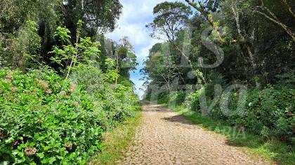 Terreno para venda loteamento colinas, são francisco de paula - 600m² 