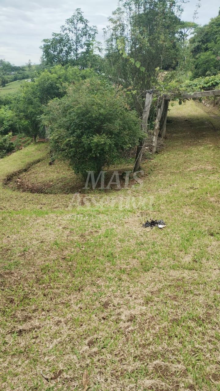 Chácara para venda em Santo Antônio da Patrulha Roça Grande