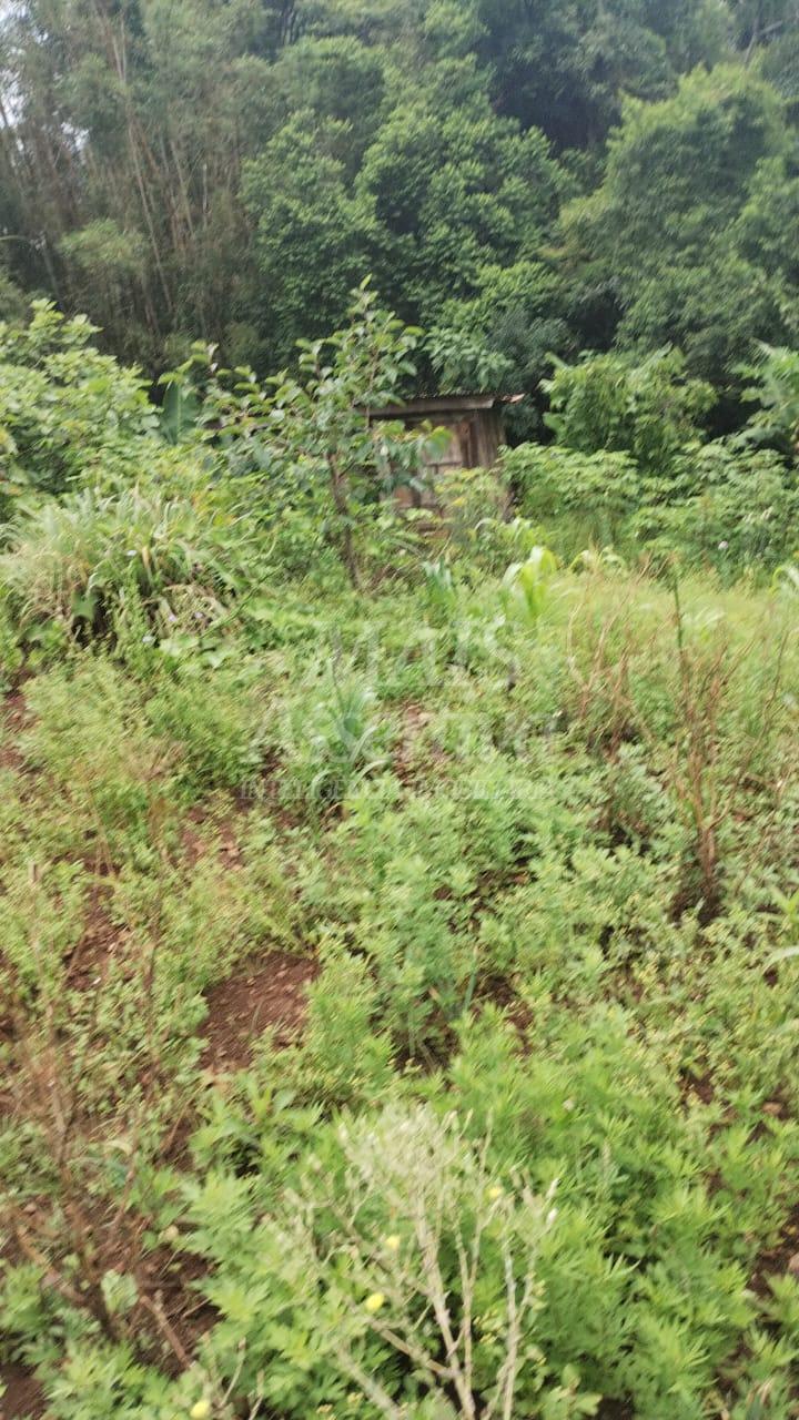 Chácara para venda em Santo Antônio da Patrulha Roça Grande