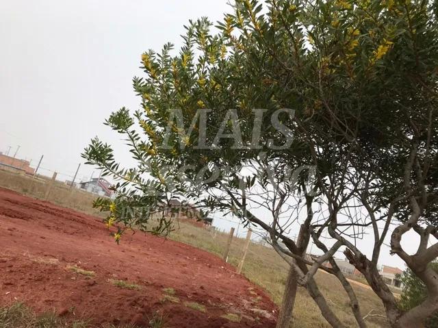 Terreno de esquina para venda, Balneario Tiveiera em Torres - 300,00m²