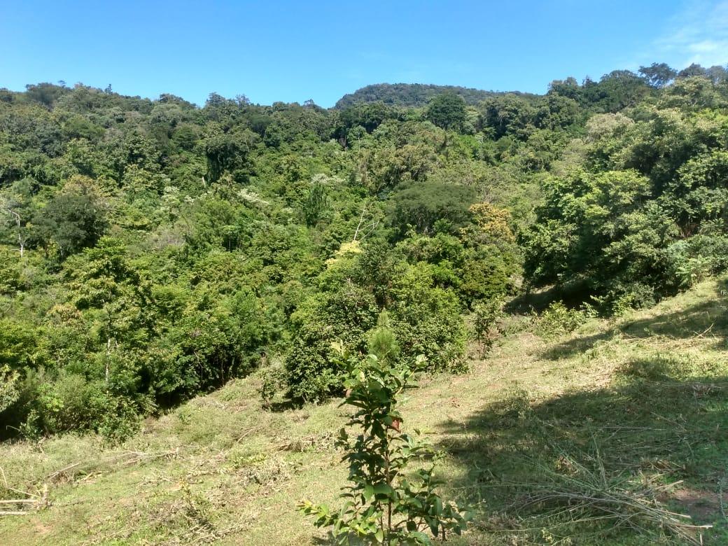 Chácara para venda, bairro Voluntário Baixo em Igrejinha/RS.