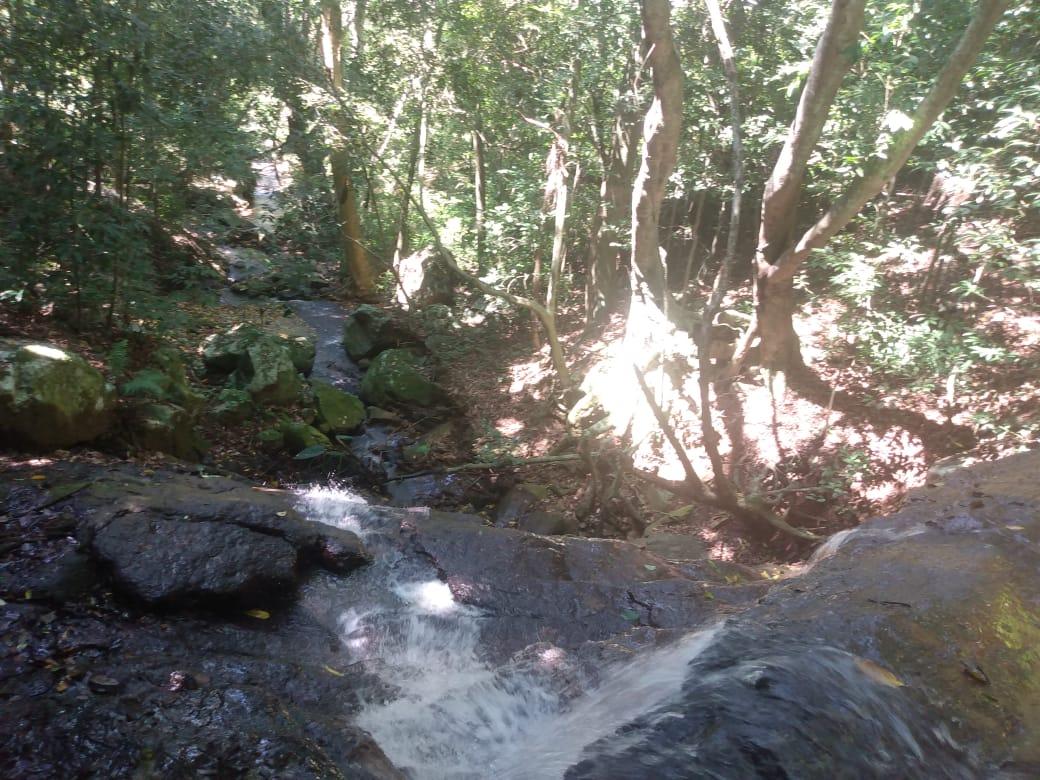 Chácara para venda, bairro Voluntário Baixo em Igrejinha/RS.