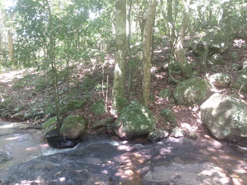 Chácara para venda, bairro Voluntário Baixo em Igrejinha/RS.