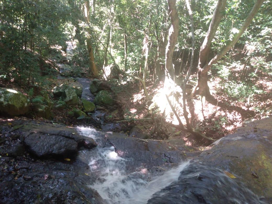 Chácara para venda, bairro Voluntário Baixo em Igrejinha/RS.