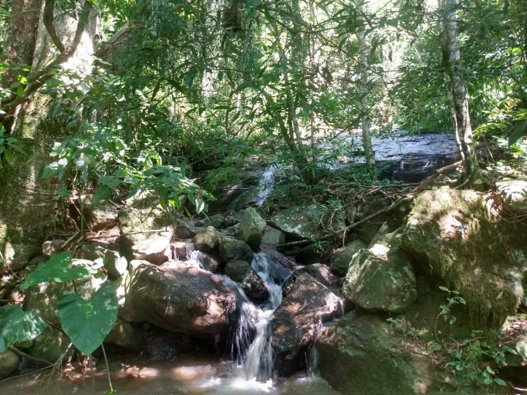 Chácara para venda, bairro Voluntário Baixo em Igrejinha/RS.