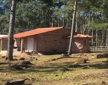 Chácara para Venda em Taquara / RS no bairro Santa Cruz da Concórdia
