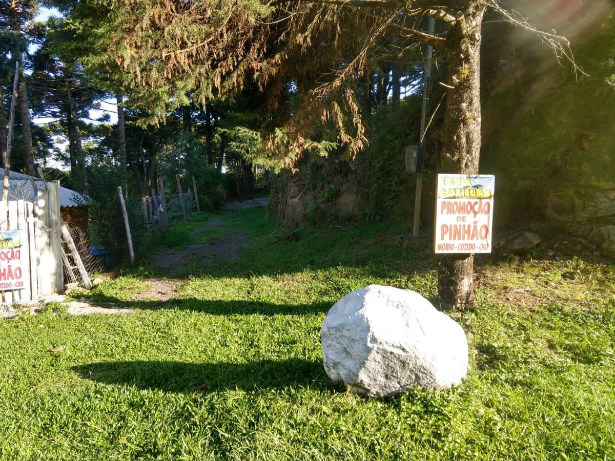 Terreno para Venda em São Francisco de Paula / RS