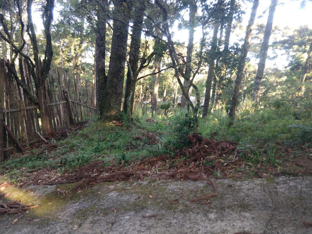 Terreno para Venda em São Francisco de Paula / RS