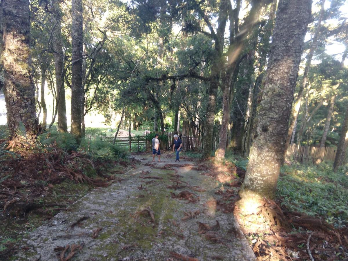 Terreno para Venda em São Francisco de Paula / RS