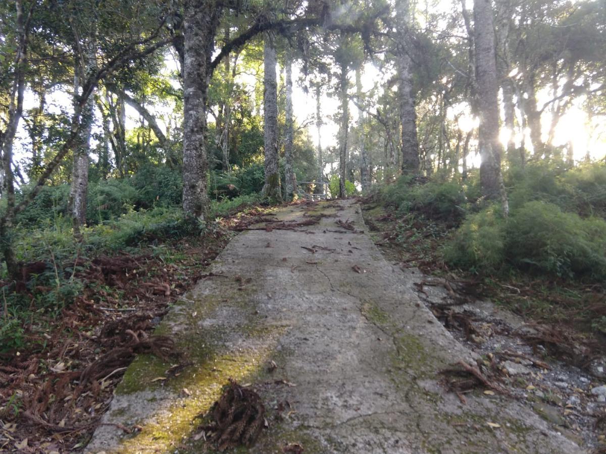Terreno para Venda em São Francisco de Paula / RS