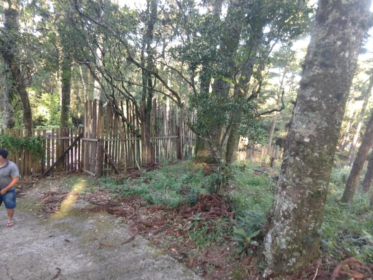 Terreno para Venda em São Francisco de Paula / RS