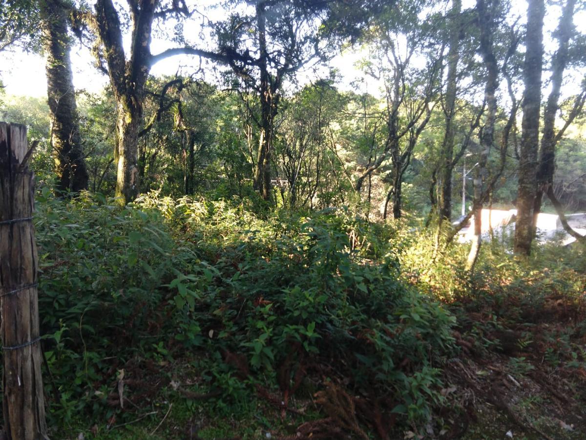Terreno para Venda em São Francisco de Paula / RS