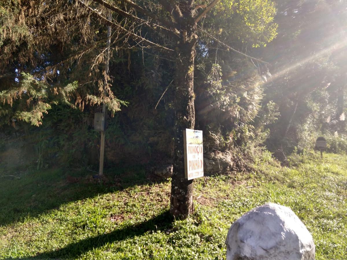 Terreno para Venda em São Francisco de Paula / RS