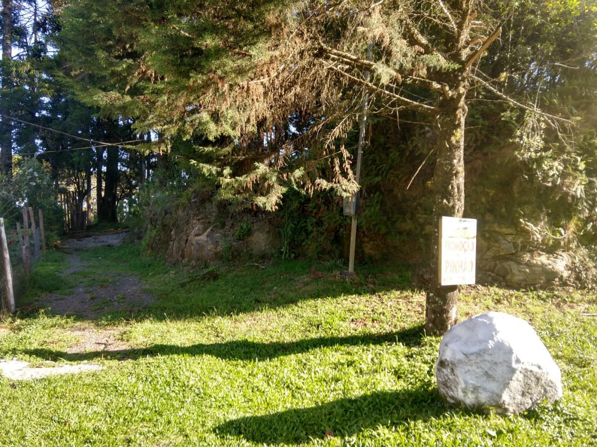 Terreno para Venda em São Francisco de Paula / RS