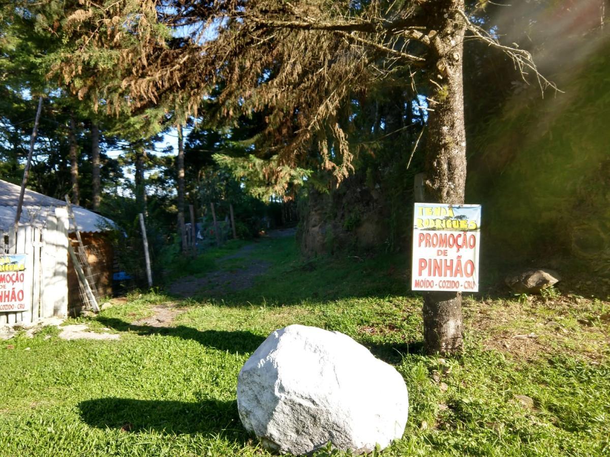 Terreno para Venda em São Francisco de Paula / RS