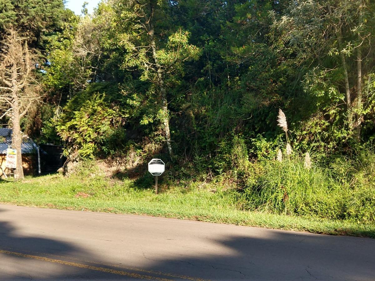 Terreno para Venda em São Francisco de Paula / RS