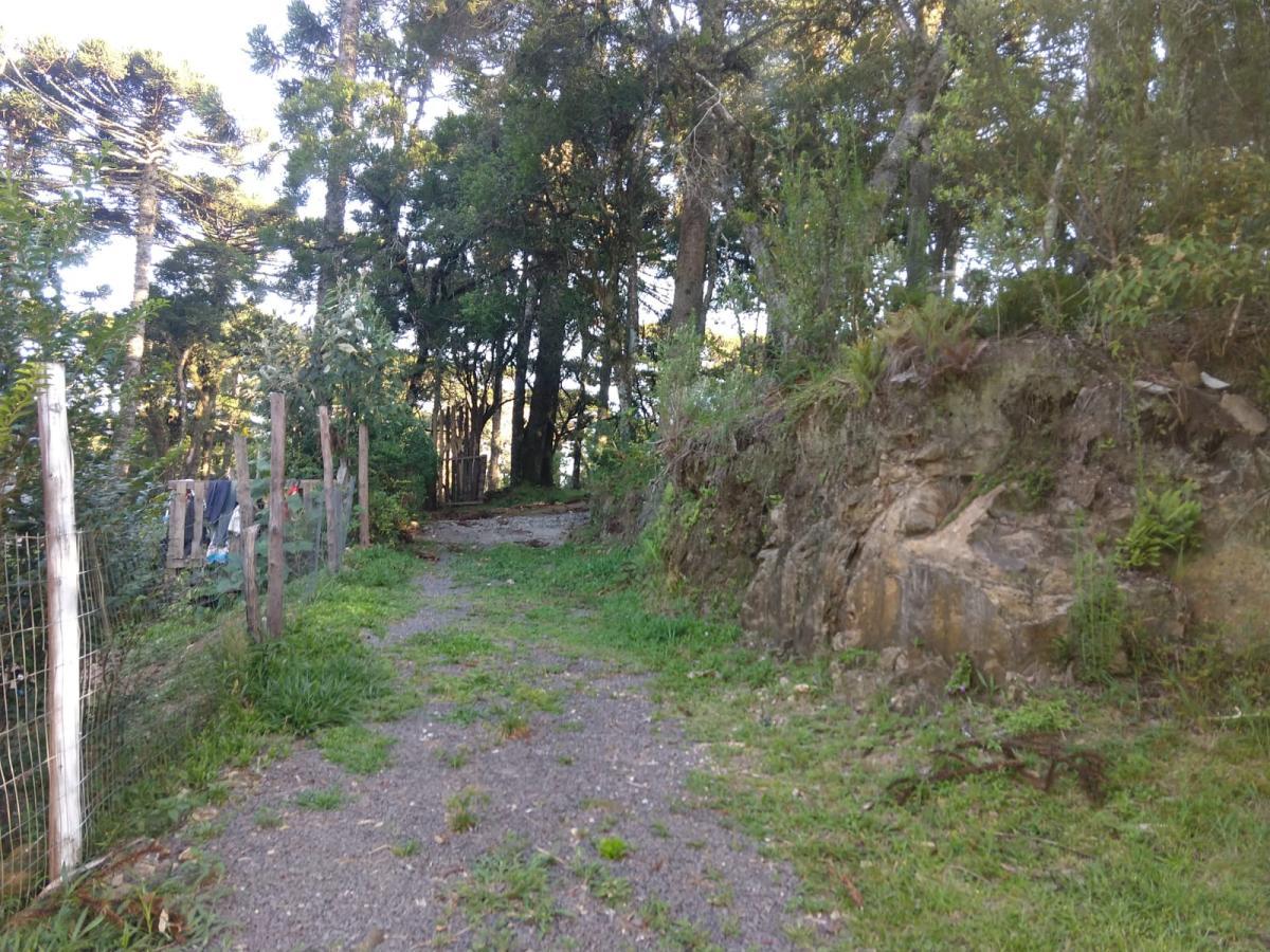 Terreno para Venda em São Francisco de Paula / RS
