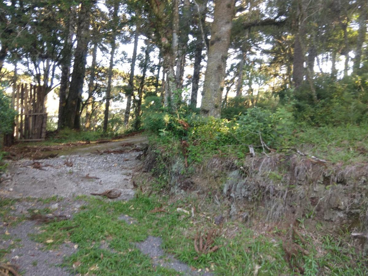 Terreno para Venda em São Francisco de Paula / RS