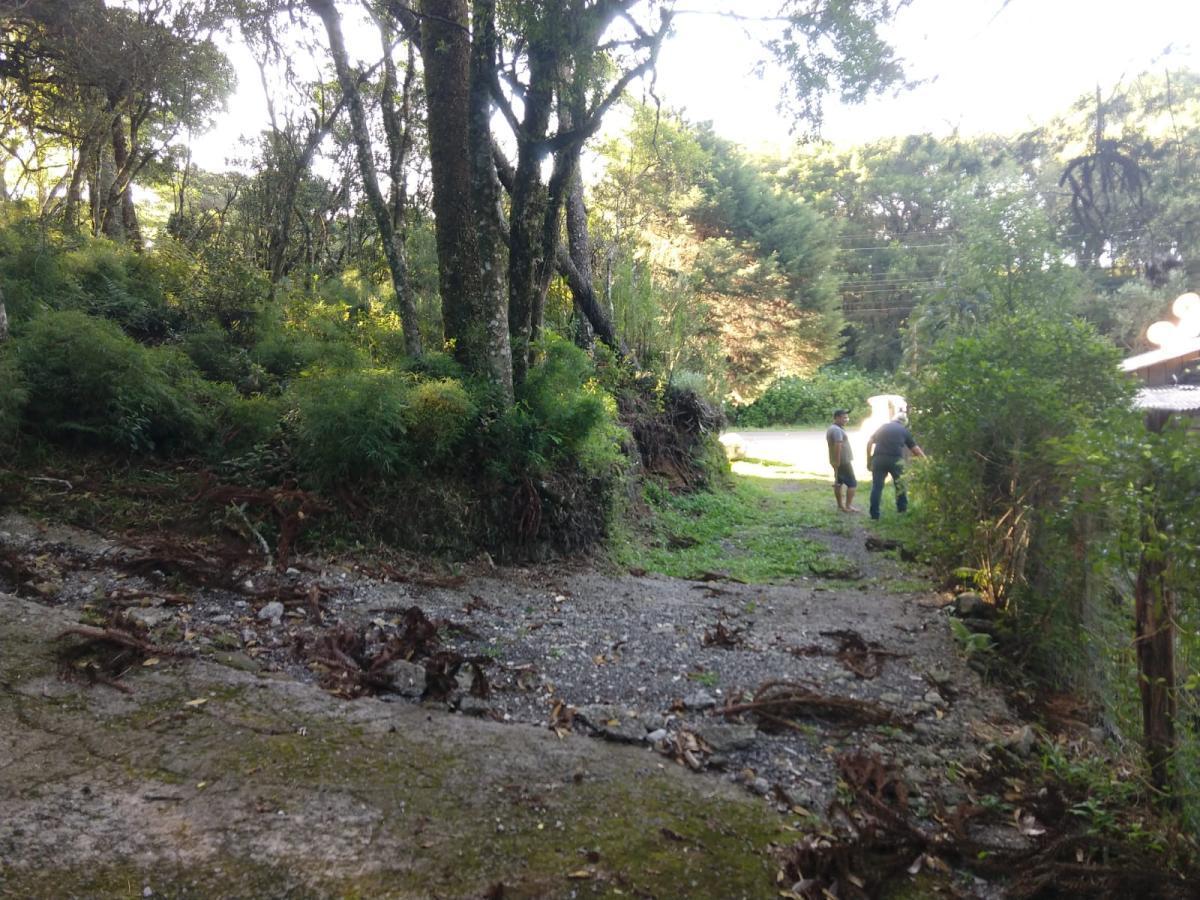 Terreno para Venda em São Francisco de Paula / RS