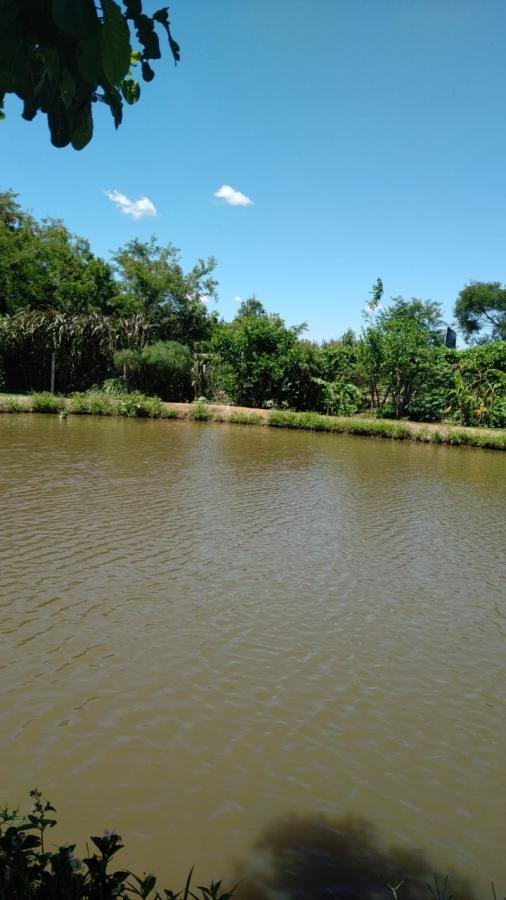 Chácara para Venda em Santo Antônio da Patrulha / RS no bairro Pinheirinhos