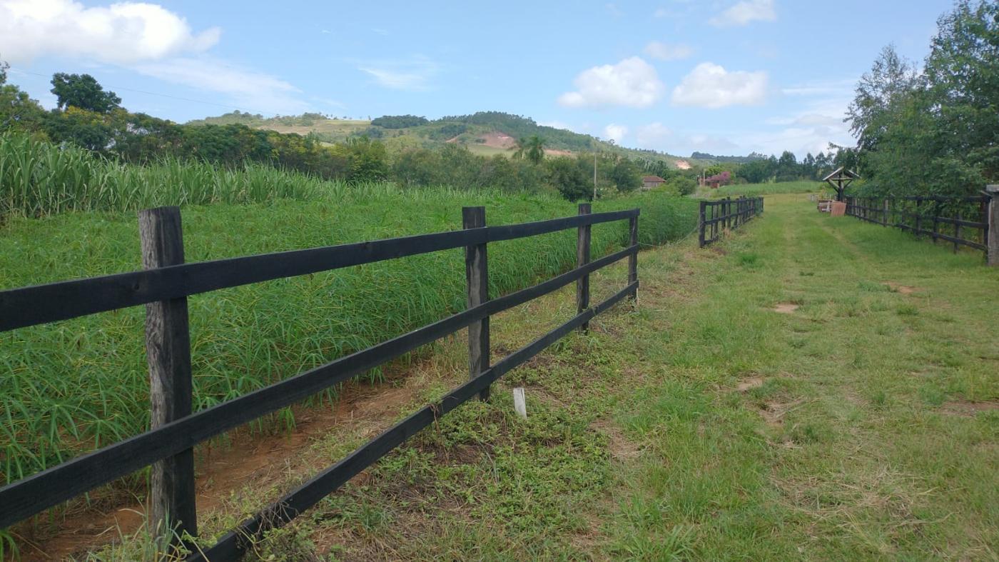 Chácara para Venda em Taquara / RS no bairro Morro Pelado