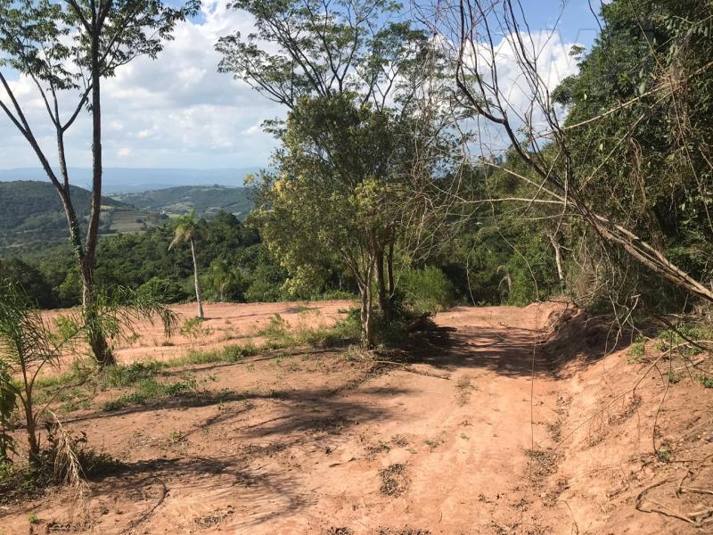 Terreno para Venda em Novo Hamburgo / RS no bairro Lomba Grande