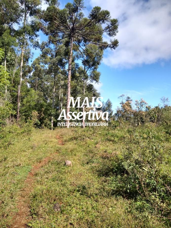 Chácara para Venda em Sapiranga / RS no bairro Bela-hú