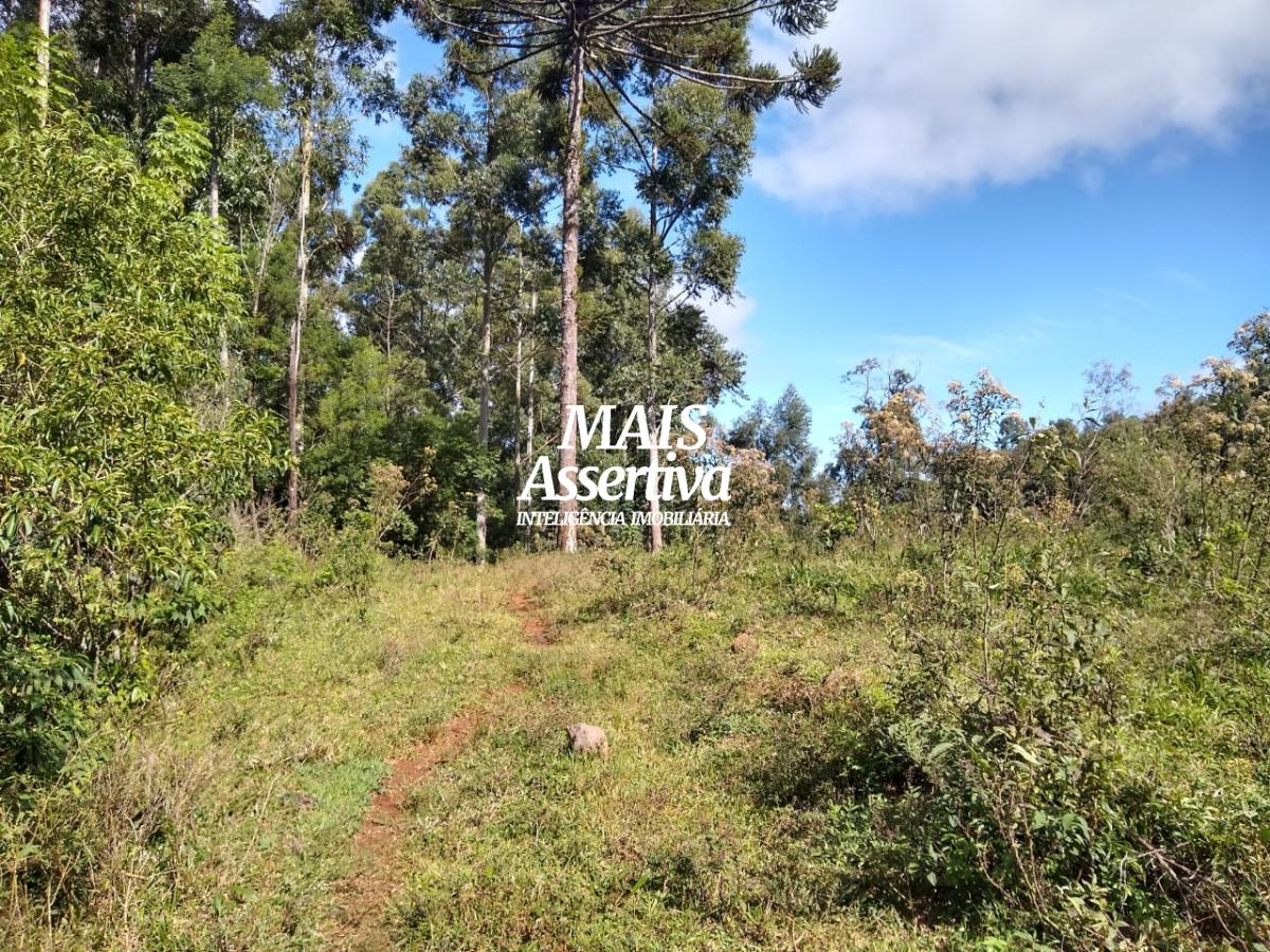 Chácara para Venda em Sapiranga / RS no bairro Bela-hú