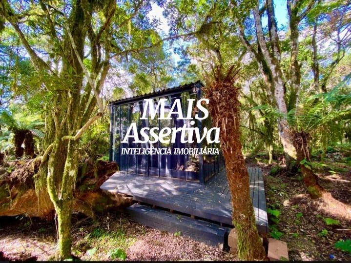 Terreno com container para venda no Lotealmente Colinas, São Francisco de Paula