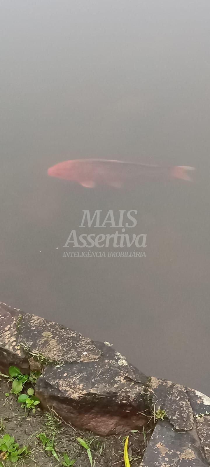 Terreno com container para venda no Lotealmente Colinas, São Francisco de Paula