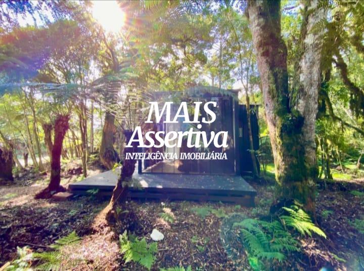Terreno com container para venda no Lotealmente Colinas, São Francisco de Paula