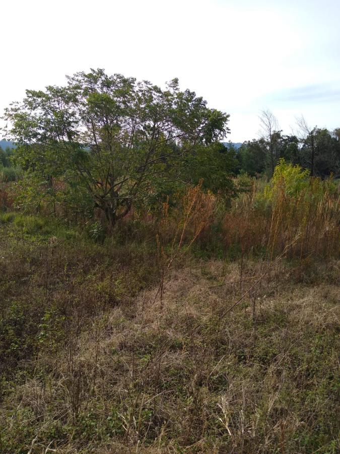 Chácara para Venda em Gramado / RS no bairro Várzea Grande Linha Carara