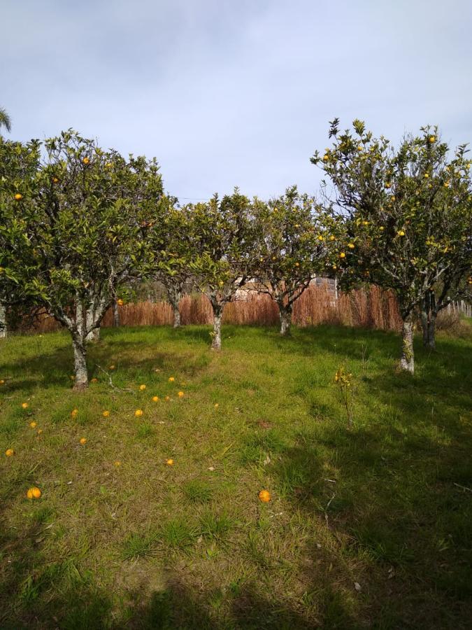 Chácara para Venda em Gramado / RS no bairro Várzea Grande Linha Carara