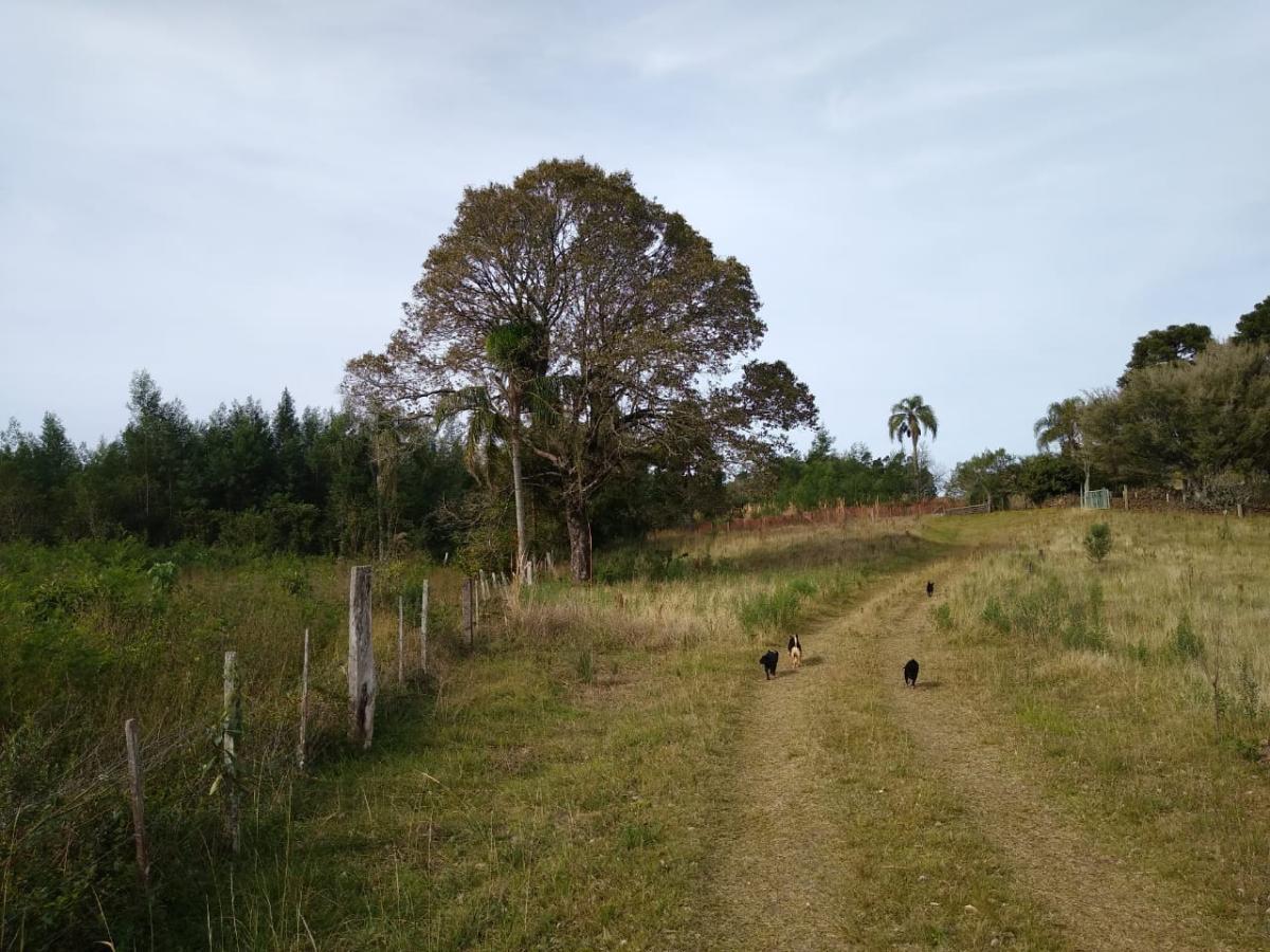 Chácara para Venda em Gramado / RS no bairro Várzea Grande Linha Carara